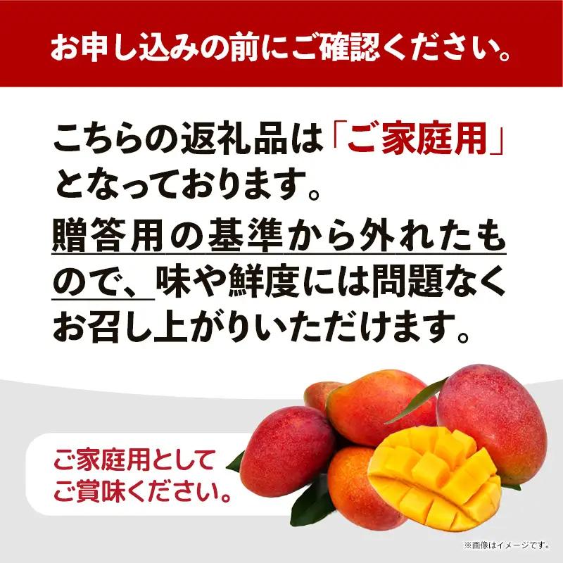 【先行受付】【2026年発送】結ファーム 家庭用 アップルマンゴー 約2kg （4～8玉）- ご自宅用 先行予約 沖縄県産 産地直送 南国フルーツ 旬の味覚 オススメ 沖縄県 八重瀬町