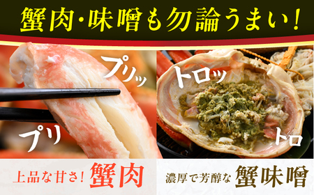 【先行予約】【加福鮮魚】「若狭小浜港産地直送」冷凍セイコガニ(コッペガニ) ボイル5杯【2024年11月7日より順次配送】