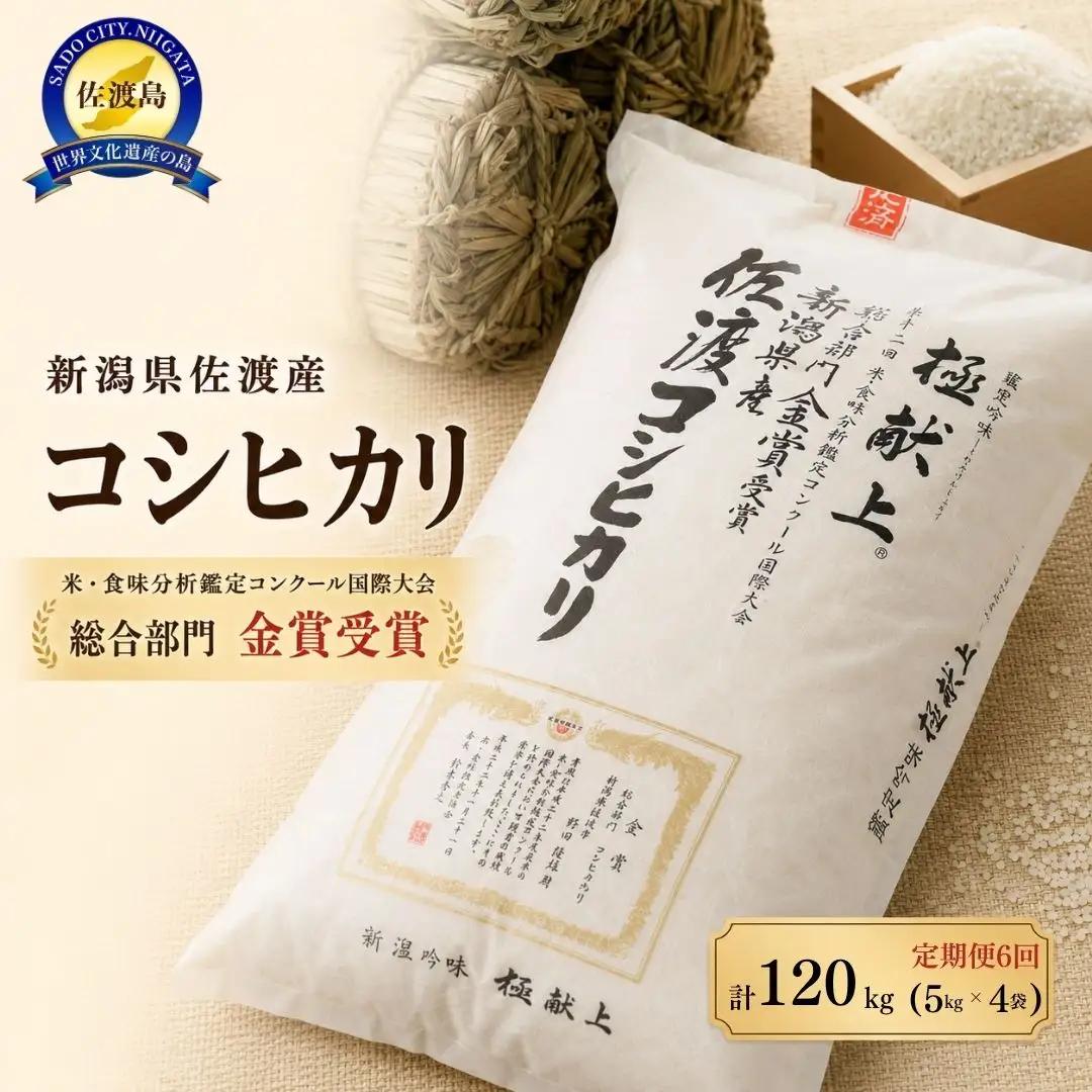 【6か月定期便 令和8年産】新潟県佐渡産コシヒカリ 合計120kg（20kg＝5kg×4袋を毎月お届け全6回）白米 野田農場