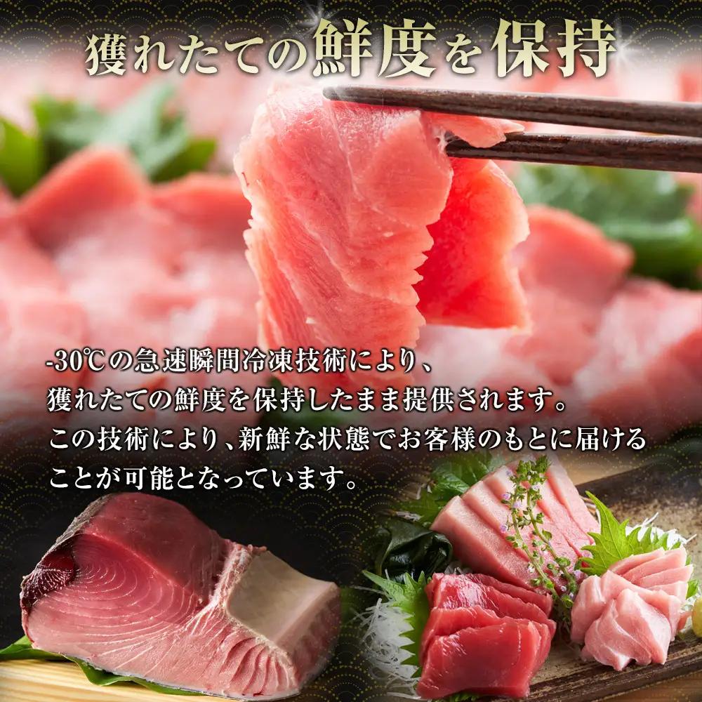クロマグロ 鹿児島県奄美大島産高級食材『黒いダイヤ』クロマグロ Bセット