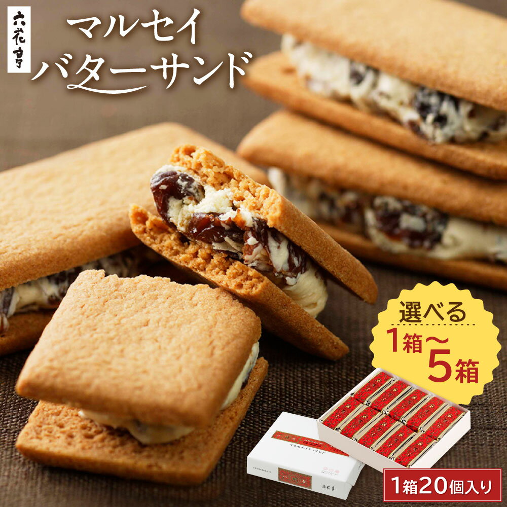 【六花亭】マルセイバターサンド20個入
