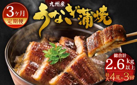 【3ヶ月定期便】九州産 うなぎ 蒲焼 特大4尾(1尾あたり220～235g)