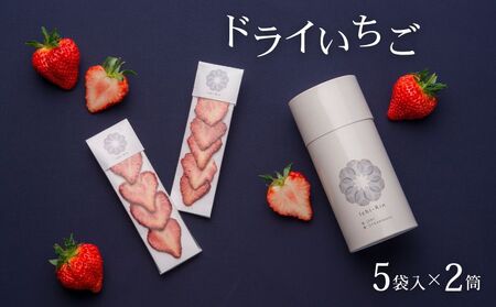 ドライいちご 10袋 ドライフルーツ ドライフルーツ ドライフルーツ ドライフルーツ ドライフルーツ J01_01