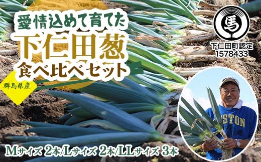 
            愛情込めて育てた下仁田葱食べ比べセット（M2本・L2本・LL3本） とろける 甘い ねぎ ネギ 王様ねぎ 殿様ねぎ 特産 栄養たっぷり ブランド 上州ねぎ すきやき F21K-570
          