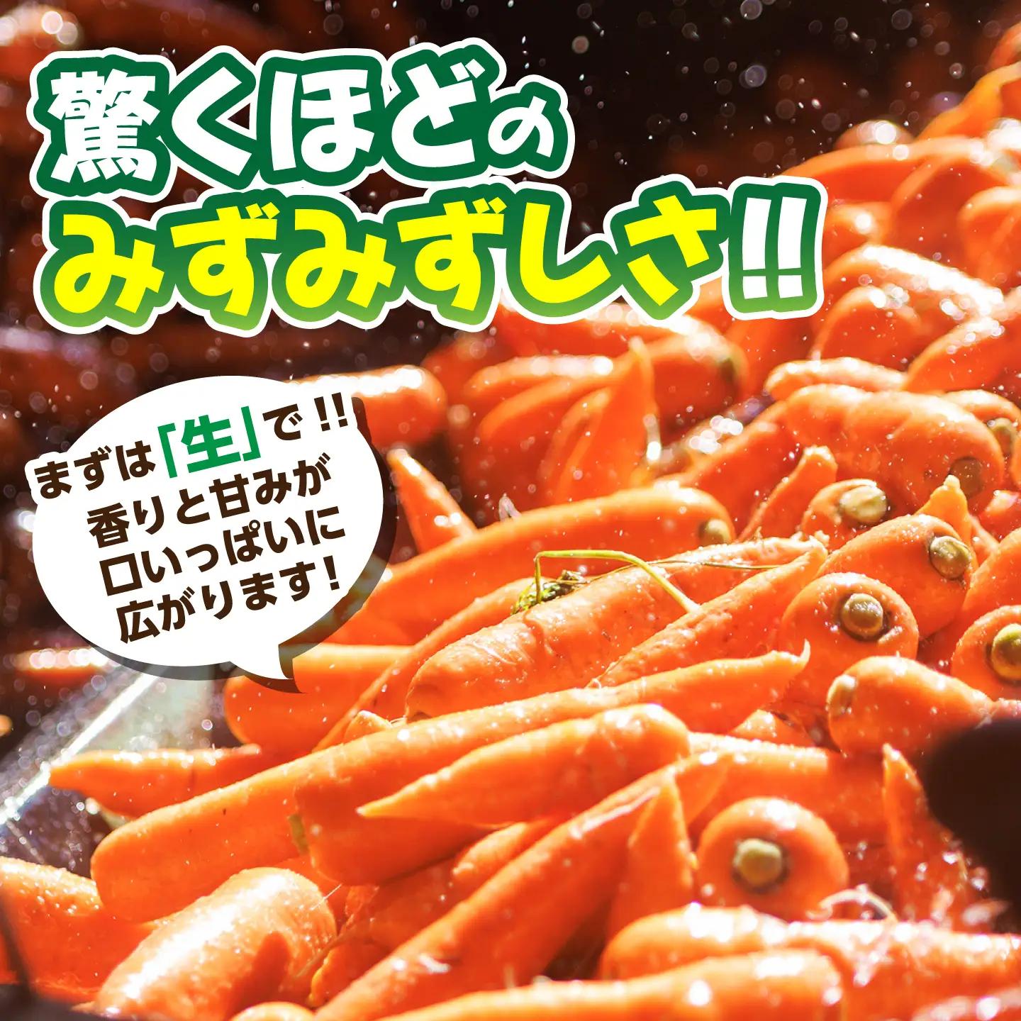 【先行予約】【12月中旬より順次発送】菊陽秋冬にんじん 秀品 約5kg / にんじん 菊陽にんじん 西洋にんじん ニンジン 人参 野菜 熊本 菊陽 【マツモト：ファーム】[BHDH008]