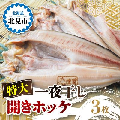 ふるさと納税 北見市 特大一夜干し開きホッケ　3枚セット