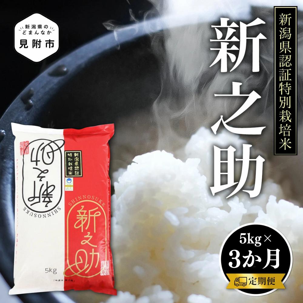 
            新潟 令和6年産 新之助 精米 15kg ( 5kg×3カ月 ）定期便 定期便 精米 したてを お届け 新潟 のど真ん中 見附市 こしひかりより大粒 米 お米 白米 国産 ごはん ご飯 安心安全
          