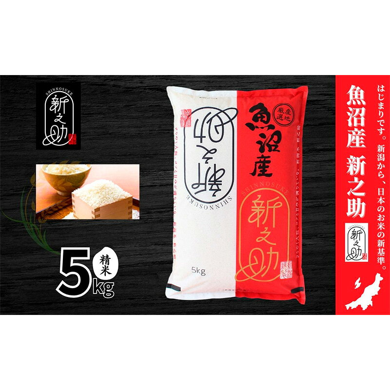 【ふるさと納税】【令和7年産】魚沼産新之助(精米)5kg 米 お米 精米 しんのすけ 中魚沼 新潟県 十日町市　お届け：寄附入金確認後、順次発送