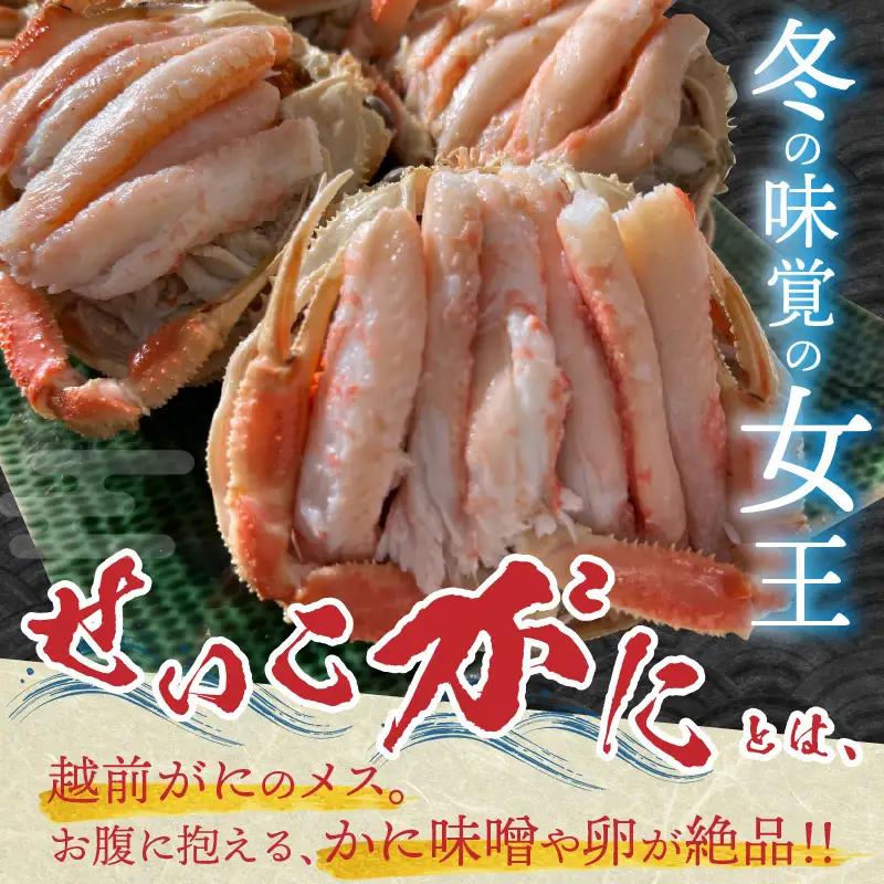 せいこがに 甲羅盛り 3杯 (1杯 60～80g) 合計200g以上 セイコガニ 蟹 かに カニ [B-6210]