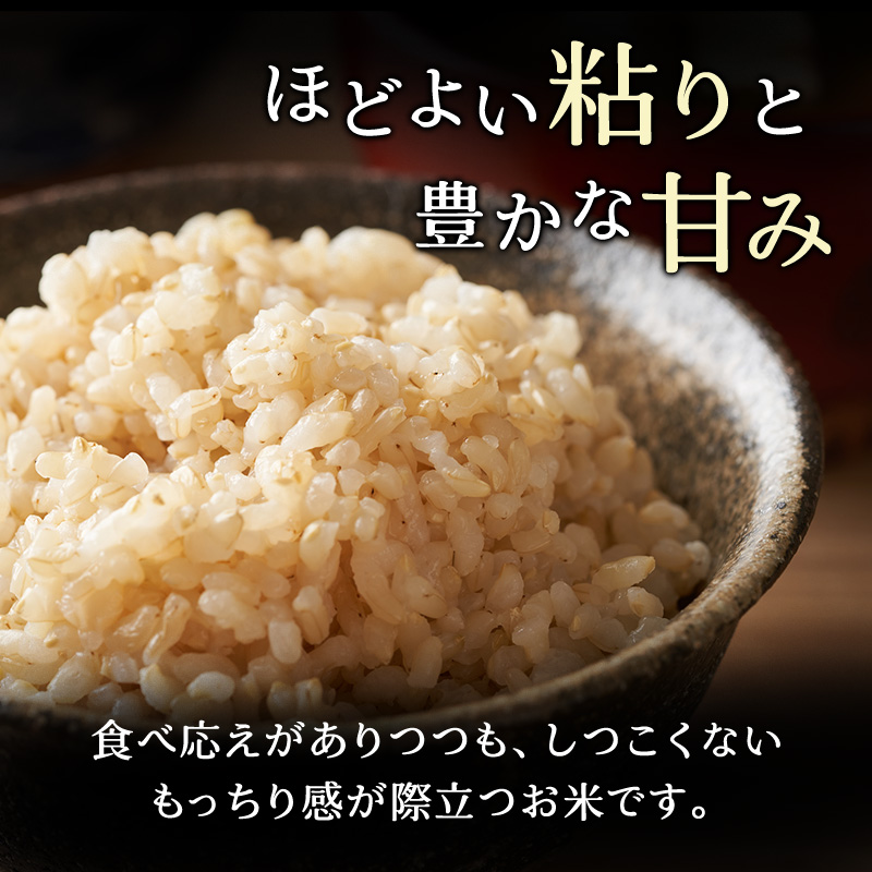 ホクレンゆめぴりか（玄米6kg）【ANA機内食採用】