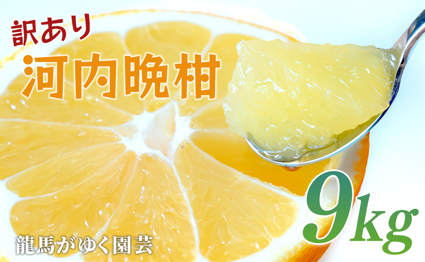 【訳あり】 河内晩柑 9kg （M～5L） 大容量 ばんかん 晩柑 バンカン 夏文旦 家庭用 みかん 蜜柑 柑橘 フルーツ 果物 サイズミックス 初夏 夏 ジュース お酒 お取り寄せ ビタミン 高知県 大月町 龍馬がゆく園芸