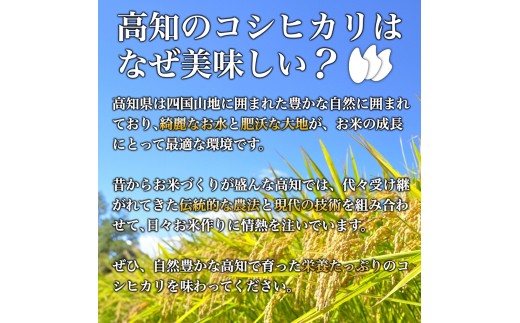 【令和7年産 新米早期予約】 コシヒカリ 5kg 8月下旬から発送 厳選 高知県産 新米 産地直送 米 お米 白米 精米 ごはん コシヒカリ ご飯 井上農園 高知県 須崎市 INN002