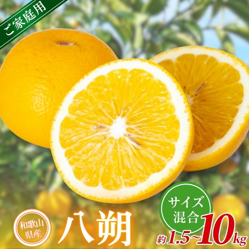 【ふるさと納税】【家庭用】 森本農園の手選別 八朔 約1.5kg 4.5kg 6kg 10kg 和歌山県産 サイズ混合 【北海道・沖縄・離島配送不可】【2027年1月中旬～4月中旬頃に順次発送】 はっさく