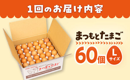 【3回定期便】 まつもとたまご  Lサイズ 赤玉 60個 ＜松本養鶏場＞[CCD006]
