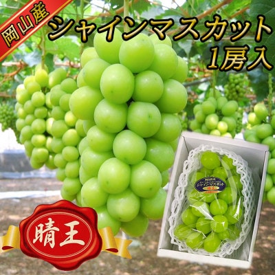 【2026年8月下旬以降順次発送】岡山名産【晴王】シャインマスカット1房約650g秀品!【配送不可地域：離島】