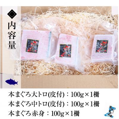 ふるさと納税 いちき串木野市 【ちょこっとプレミアム】天然本まぐろフルセット 計約300g |  | 02