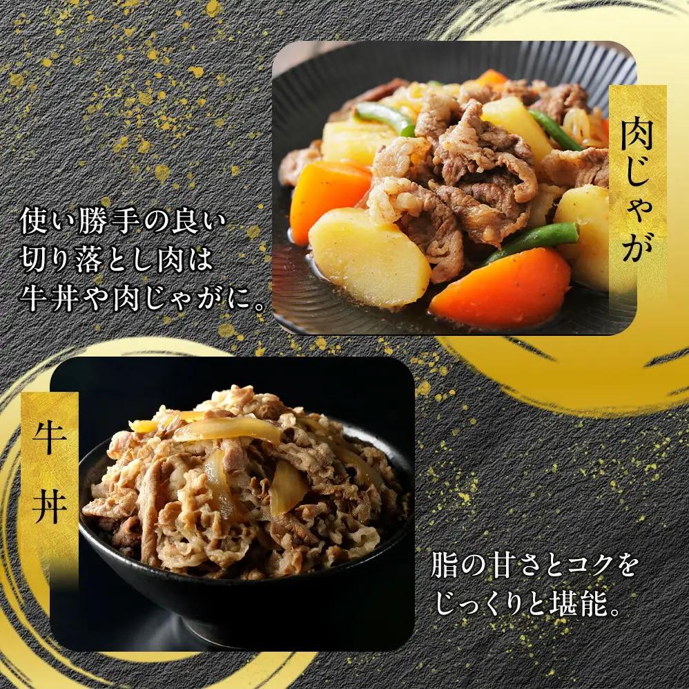 博多和牛 切り落とし 1kg（500g×2パック） |  肉 牛肉 切り落とし 肩 バラ 牛 お肉  黒毛和牛 博多和牛  牛肉 赤身 すき焼き 焼き肉 焼肉 人気 A5ランク 贈り物 プレゼント ギ