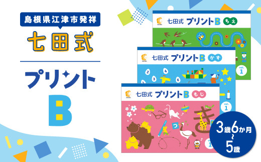 
江津市限定返礼品：七田式プリントB 3歳半～5歳 SC-50 しちだ 七田式 プリント 3歳 4歳 5歳 幼児 教育 学習 教材 ちえ もじ かず
