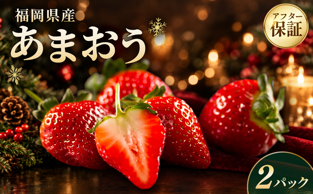 福岡県産あまおう2パック（約250g×2パック）| あまおう いちご 苺 イチゴ 福岡県産 福岡 国産 大粒 ブランドいちご フルーツ 果物 くだもの 甘い ジューシー 旬 冬 2パック（約250g×