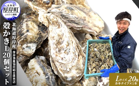 厚岸産 殻かき L 20個セット 北海道 生食 マルえもん 牡蠣