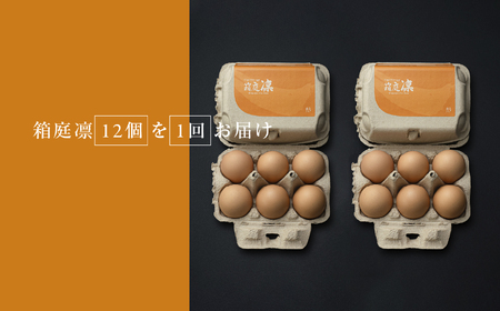 コクはあるのに後味はすっきり 箱庭たまご 「箱庭凛」 12個 | ギフトボックス 卵 たまご テレビ 話題 ごはん お供 タマゴ 卵かけ 真岡市 栃木県 送料無料