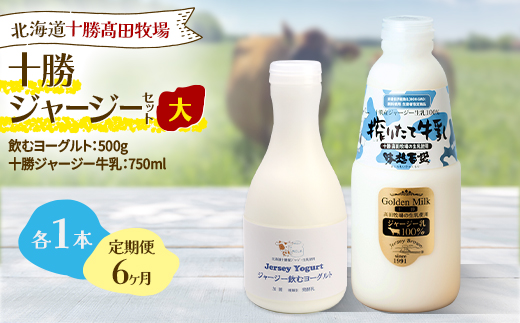 【毎月定期便】十勝ジャージー大 各1本(飲むヨーグルト500g牛乳750ml) SKM064 全6回【配送不可地域：離島】