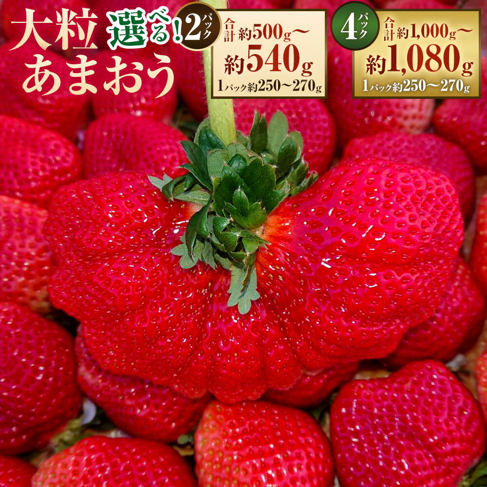 【ふるさと納税】＜予約＞大粒あまおう ＜選べる内容量＞ 2パック / 4パック 1パックあたり約250～270g あまおう いちご イチゴ 苺 フルーツ くだもの 果物 果実 デザート 福岡県産 国産 九州 福岡県 太宰府市 送料無料 【2026年2月上旬～4月上旬発送予定】