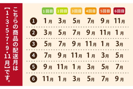 【全6回定期便】こだわりの五島ハヤシ10箱セット 化学調味料・着色料不使用 創作郷土料理いつき 五島産 牛肉 野菜五島市/出口さんご[PBK020]