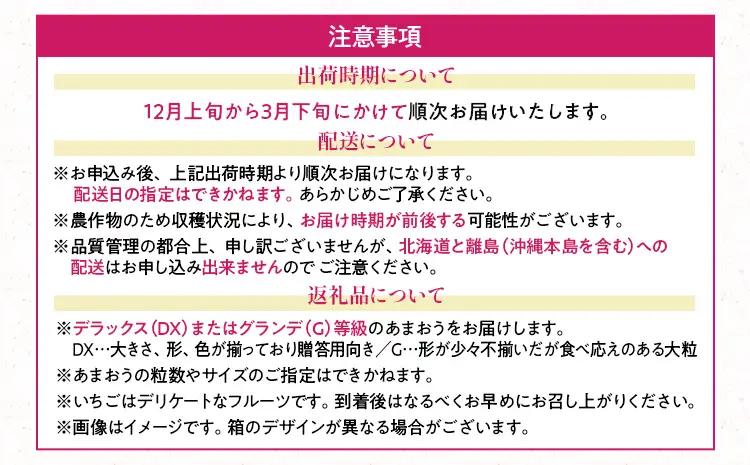 あまおう 1パック ＆ ふくや味の明太子 100g 明太子 惣菜 あまおう イチゴ いちご スイーツ 果物 フルーツ 送料無料【12月上旬発送開始予定】