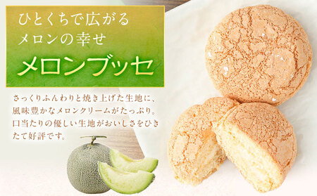 菊池銘菓 ブッセシリーズ詰め合わせセット 1箱(12個入り)