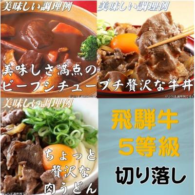ふるさと納税 養老町 飛騨牛 5等級　切り落し　500g　養老うどん付(3人前) |  | 01