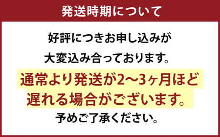 デザインナイフ フルタングナイフ 手打ちナイフ 鍛造ナイフ キャンプ アウトドア スポーツ ナイフ キッチン