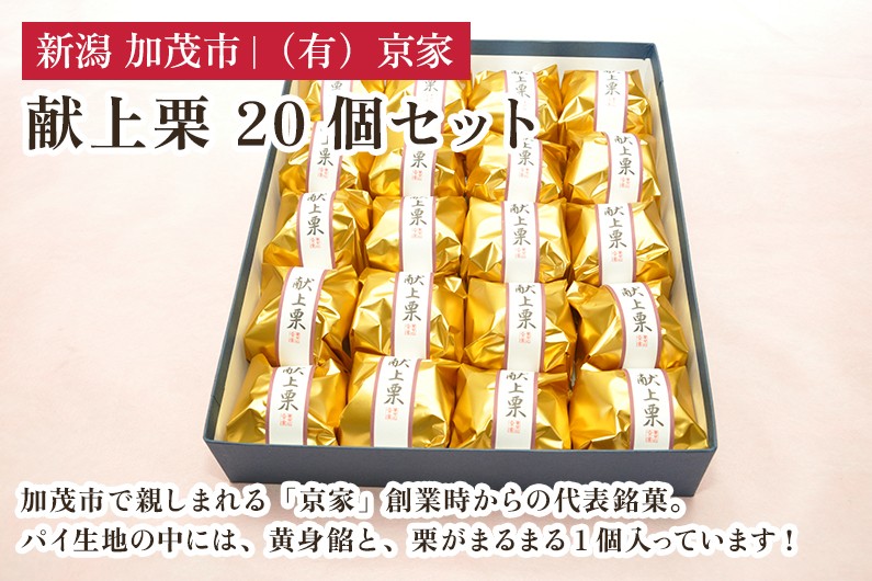 
            献上栗 20個セット 和菓子 お菓子 スイーツ 和スイーツ くり マロン 焼菓子 焼き菓子 銘菓 京家 加茂市
          