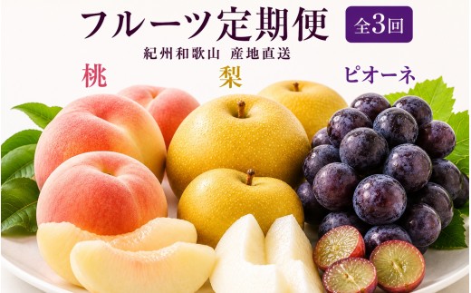
                  【全3回】紀州和歌山産旬のフルーツ定期便 (桃・梨・ピオーネ) 【tkb424】
                