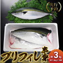 【ふるさと納税】【着日指定】 新鮮 天草ぶり フィレ 半身 約3kg 約1.5kg × 2枚 ブリ 刺身 三枚おろし 真空包装 旨味 凝縮 切り身 ブリしゃぶ 照り焼き 煮付け カルパッチョ 国産 産地直送 海産物 海鮮 海の幸 食品 グルメ お取り寄せ 九州 熊本県 天草市 送料無料