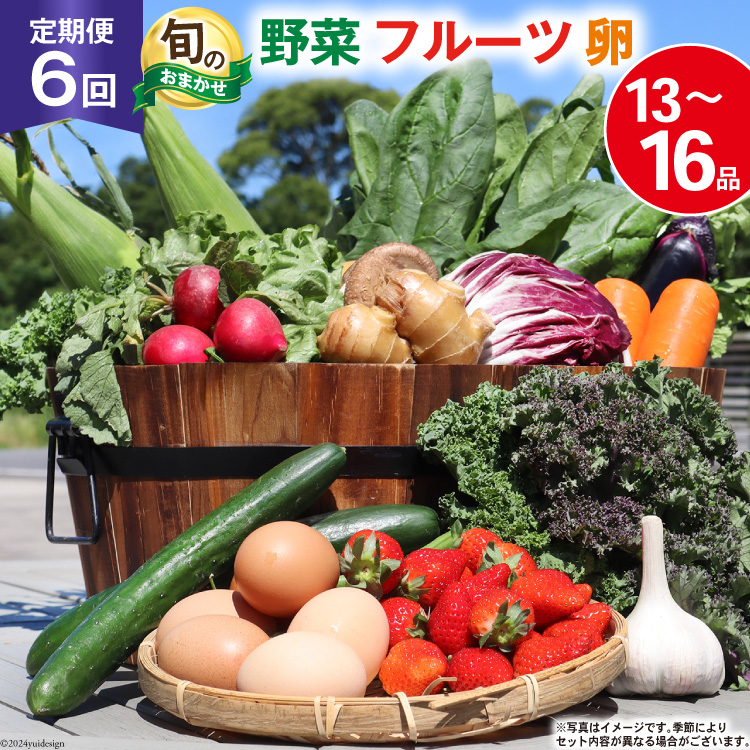 BH113 【6回定期便】 野菜・フルーツ・卵 旬のおまかせセット （野菜･フルーツ13-16種、卵6玉） [ 野菜セット 野菜 フルーツ 果物 たまご 鶏卵 産地直送 厳選 長崎県 島原市 送料無料]