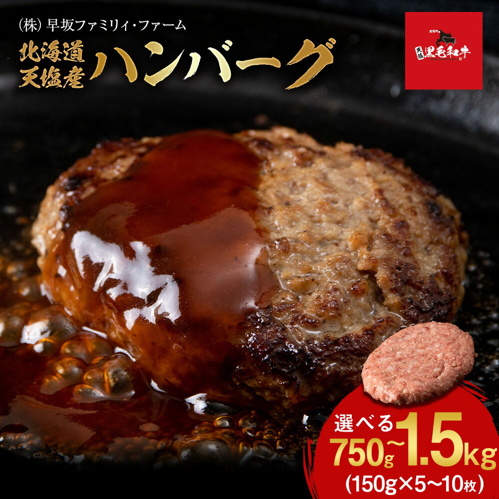 【ふるさと納税】黒毛和牛 天塩和牛 ハンバーグ 選べる5枚〜10枚セット 1枚150g ＜早坂ファーム＞ ふるさと納税 北海道