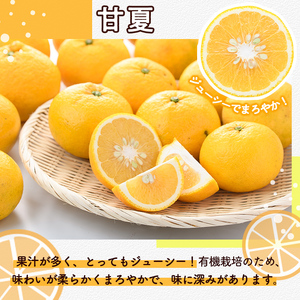 訳あり！有機JAS 甘夏(約10kg) 国産 果実 果物 フルーツ 柑橘 デザート 訳アリ 期間限定 有機栽培 【中村農場】akn084-07