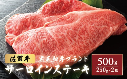 
                  【佐賀牛サーロインステーキ】佐賀牛サーロインステーキ 500g (250g×2枚) ／ ふるさと納税 肉 お肉 にく ギフト 牛肉 ステーキ サーロイン タレ 国産 赤身 佐賀 バーベキュー
                