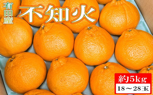 【濃厚】有田の不知火約5kg（18玉～28玉おまかせ） ※2027年2月下旬～2027年3月下旬頃に順次発送予定（日付指定不可）【tec860A】