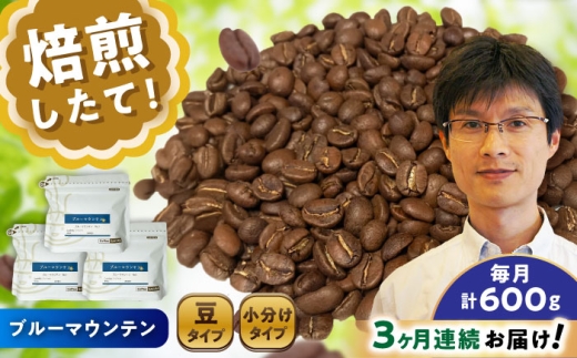 【全3回定期便】ブルーマウンテンNo.1 コーヒー豆 200g×3個 (豆) / 珈琲 コーヒー 豆 / 瀬戸市 / Ｃｏｆｆｅｅ　ＳＡＫＵＲＡ [BBAB079]