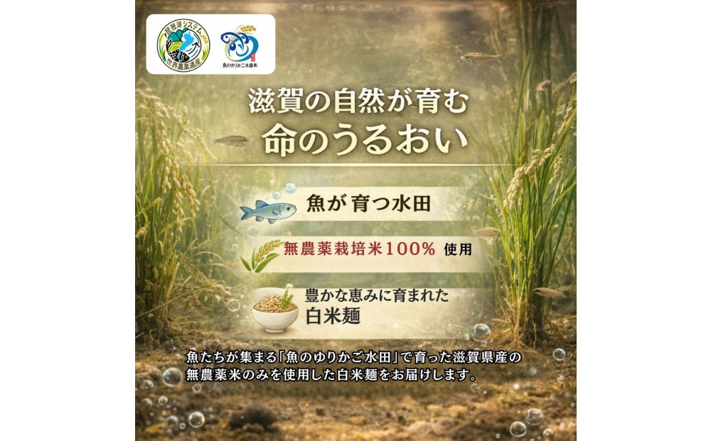 無農薬・グルテンフリー 滋賀県野洲市産 白米麺 7食セット 100g×7袋