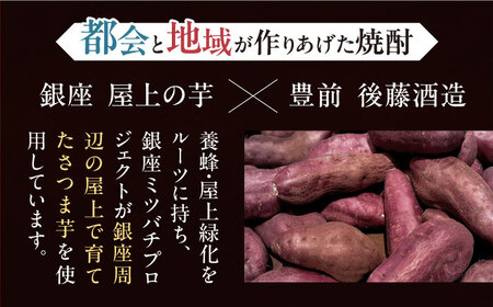 【全12回定期便】芋焼酎 銀座芋人 （原酒）　500ml（38度）《豊前市》【後藤酒造合資会社】 焼酎 酒 いも焼酎 [VDA011]