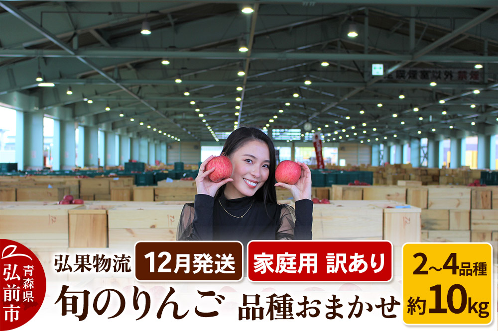 りんご【12月発送】家庭用 訳あり 旬のりんご 品種おまかせ 約10kg 2品種～4品種