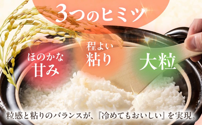 なつほのか 白米 10kg（5kg×2袋） / 長崎県 波佐見町 米 お米 白米 精米