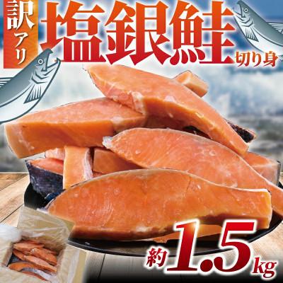 ふるさと納税 藤沢市 【訳あり】 銀鮭 切身(厚切り) 約1.5kg (1切れ 90g〜140g)