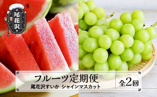 【先行予約】フルーツ定期便  全2回  スイカ シャインマスカット 秀品 2026年7月中旬~発送開始 2026年産 令和8年産 佐竹物産 ※沖縄・離島への配送不可 sb-fts2x-b-bu