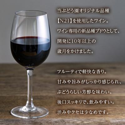 ふるさと納税 河内長野市 N21ワイン 720ml 中村オリジナルぶどう園のオリジナル品種使用 |  | 01