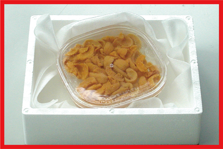 エゾバフンウニ(黄色)塩水パック100～110g×1P C-56019