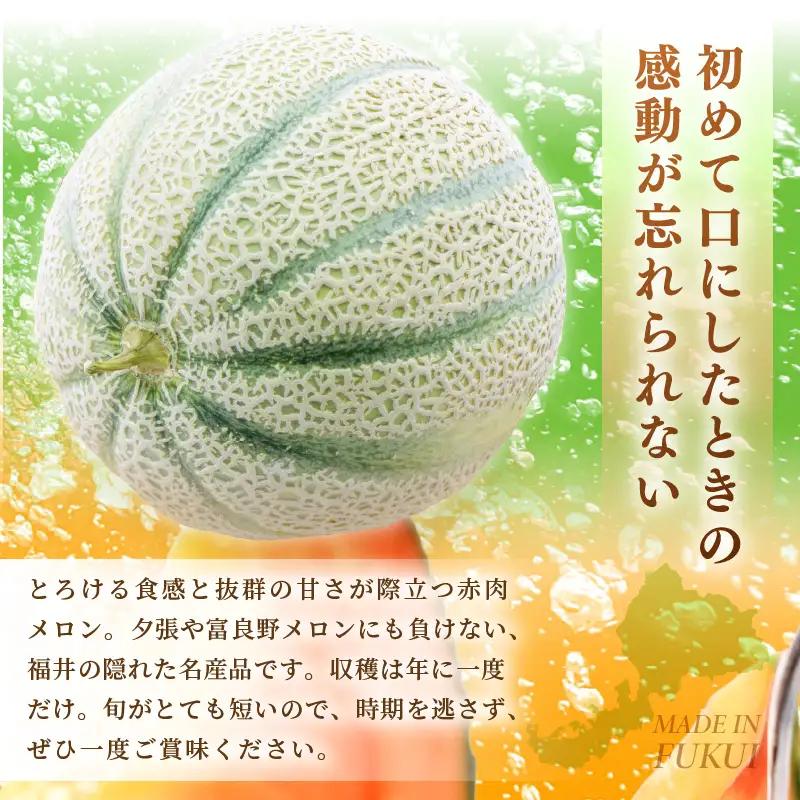 マルセイユメロン 4L 2玉 化粧箱入り 2027年6月中旬以降順次発送 メロン フルーツ 赤肉 贈答 ギフト [A-19107]